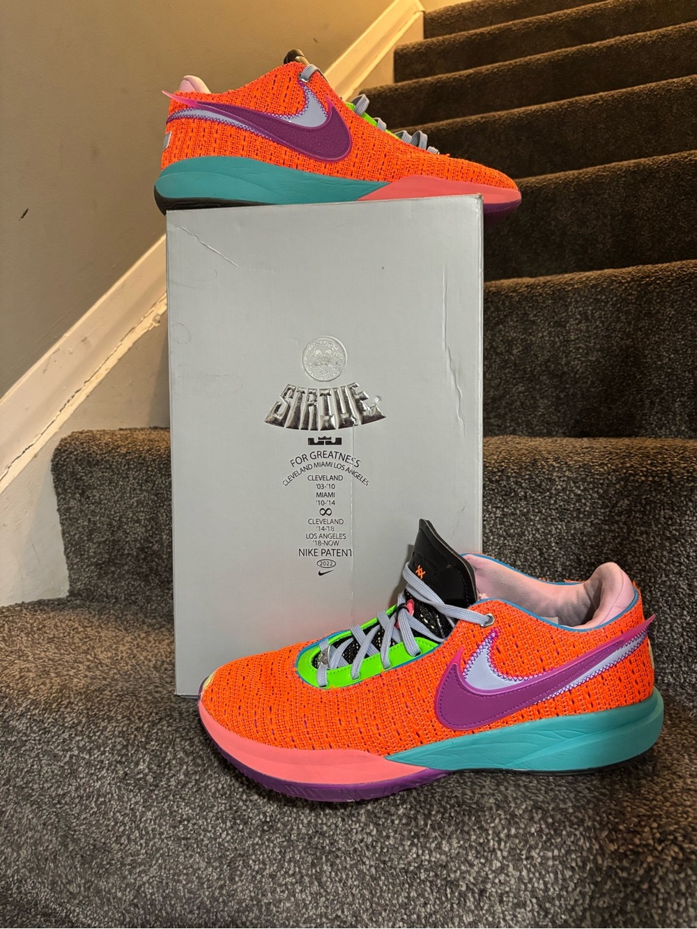 Nike LeBron 20 Chosen One Authentic